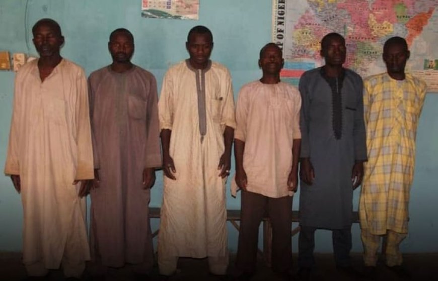 Six men arrested for luring a 12-year-old girl with money and defiling her in Bauchi.