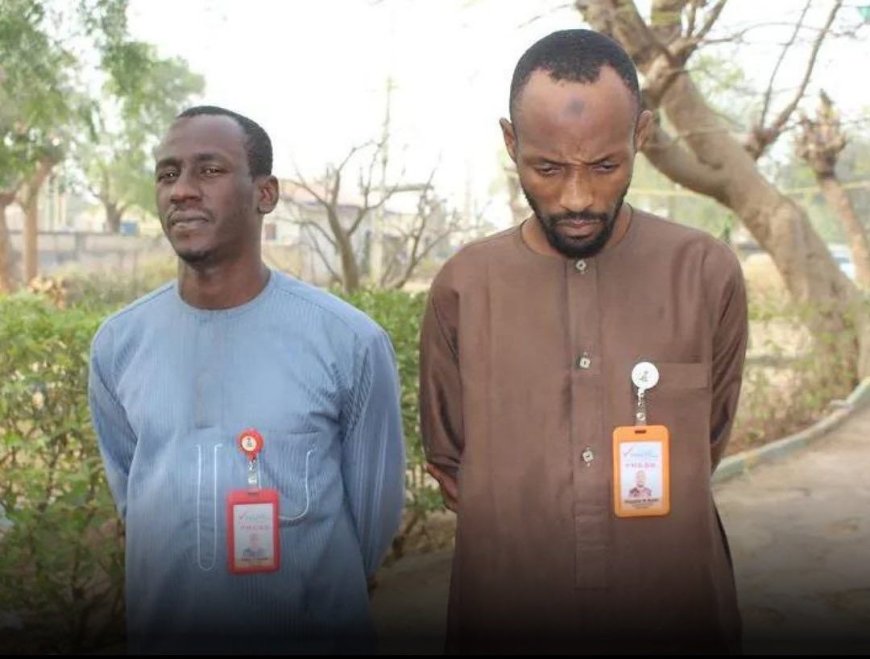 'Journalists' from Kano were arrested for using a fake bank transfer to purchase a bag of food.