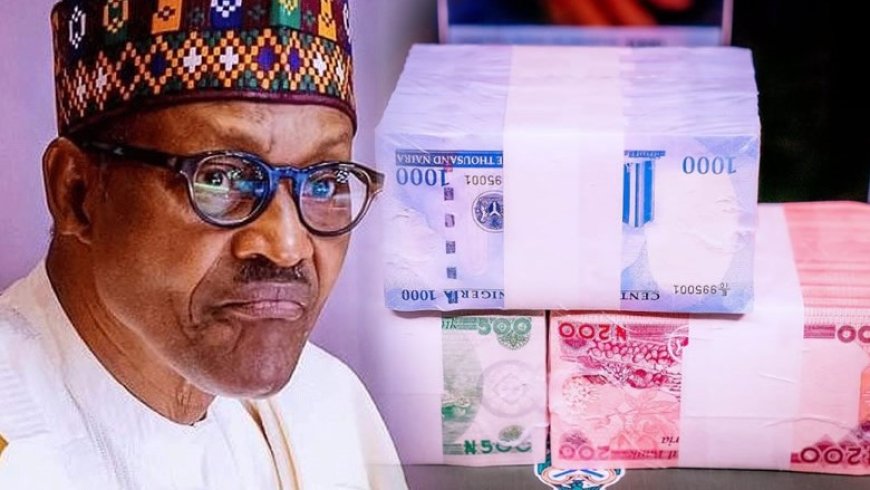 New naira: FG, CBN will act after Supreme Court ruling – Presidency