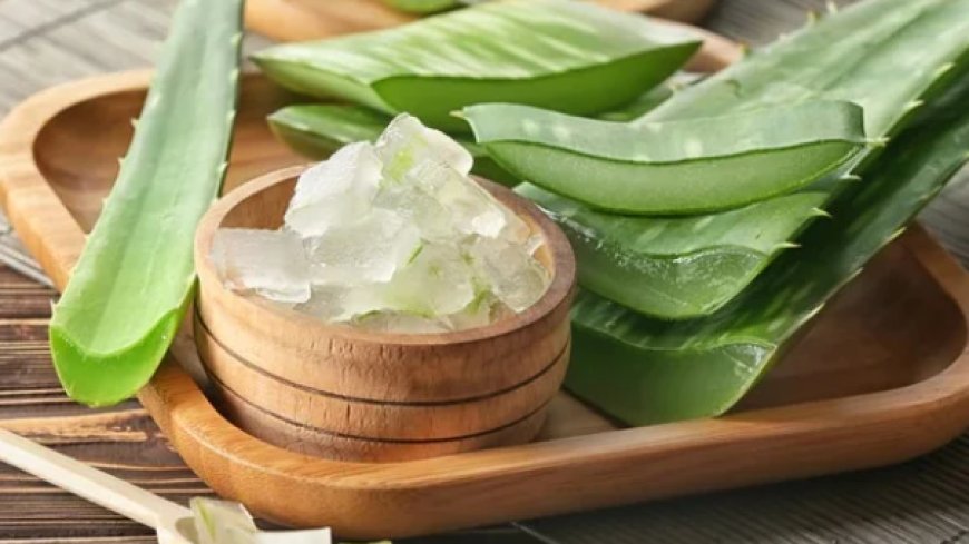 Five health benefits of aloe vera