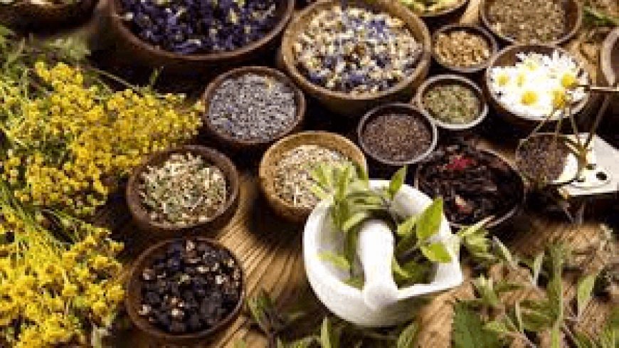 HERBAL MEDICINE AS SUPPORT TO HUMAN HEALTH