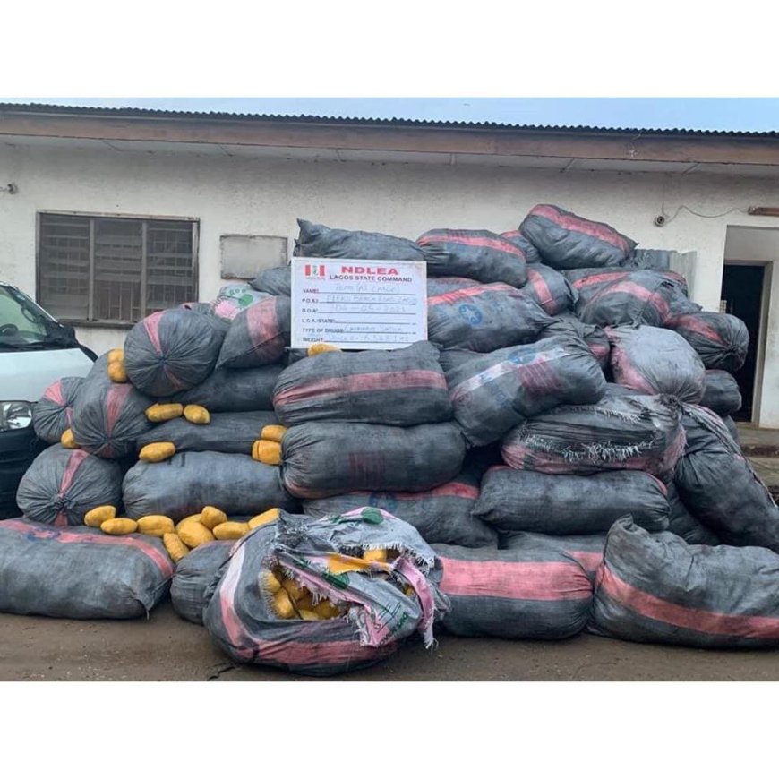 NDLEA seizes 8,852kg illicit drugs consignment in Lagos.