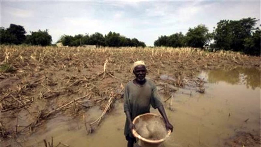 Climate change causes two million deaths in 50 years — UN