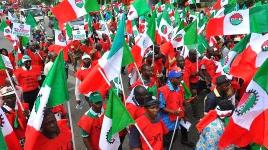 Subsidy: NLC avoids FG meeting, electrical workers support strike