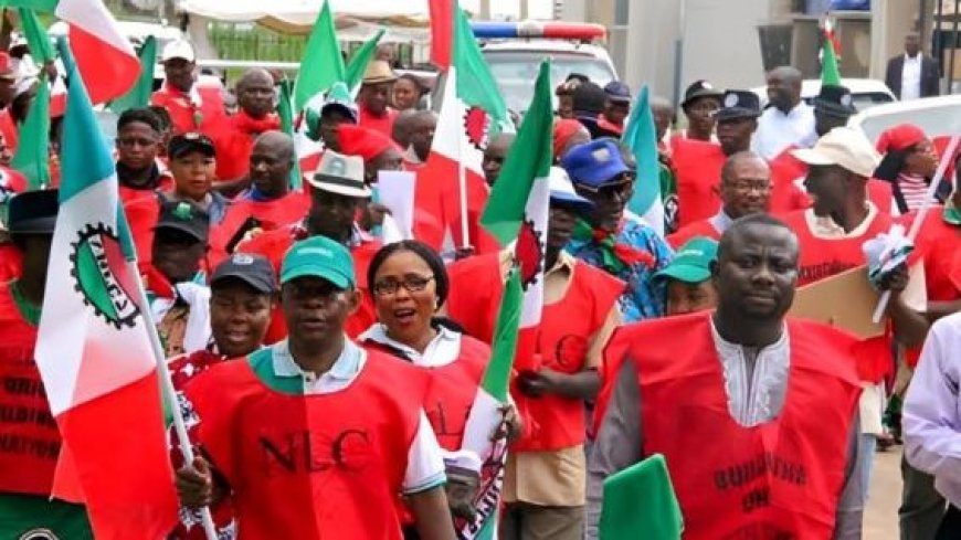 Subsidy pain: ASUU and protesters criticise relief measures as Labour talks tough.