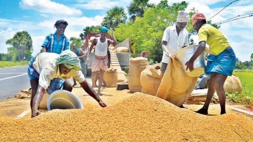 Following India's ban on rice exports, rice mills in Nigeria close their doors.