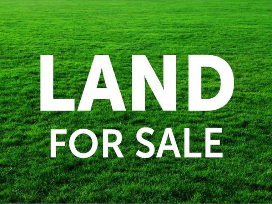 LAND FOR SALE AT PINNOCK BEACH ESTATE