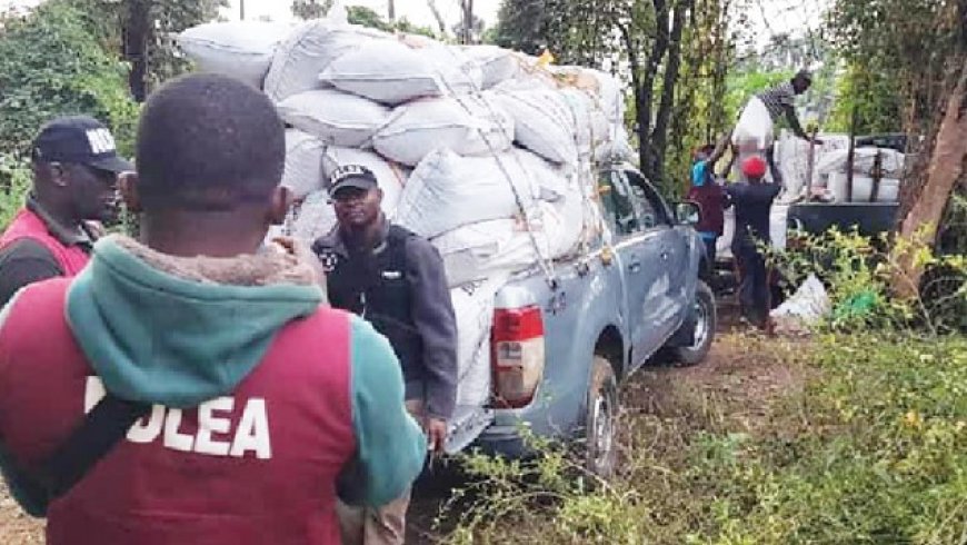 Drugs worth N80 million and 134 people were detained by the NDLEA in Q3.